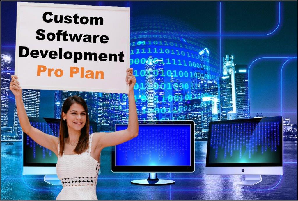 custom software development agency in Olympia Washington