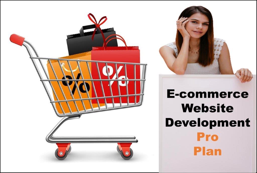 professional ecommerce website development agency in Olympia Washington