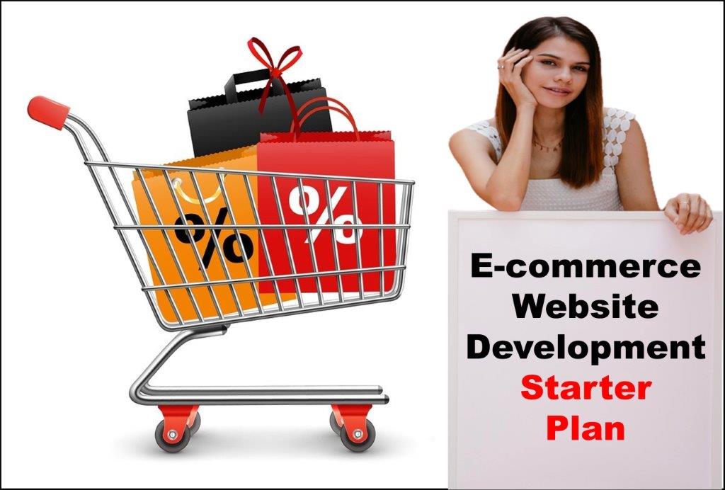 E-Commerce Website Development in Olympia Washington