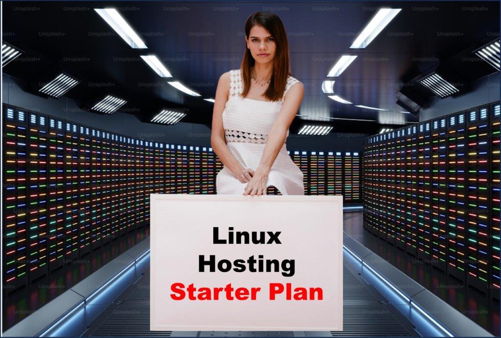 Website Hosting in Olympia Washington