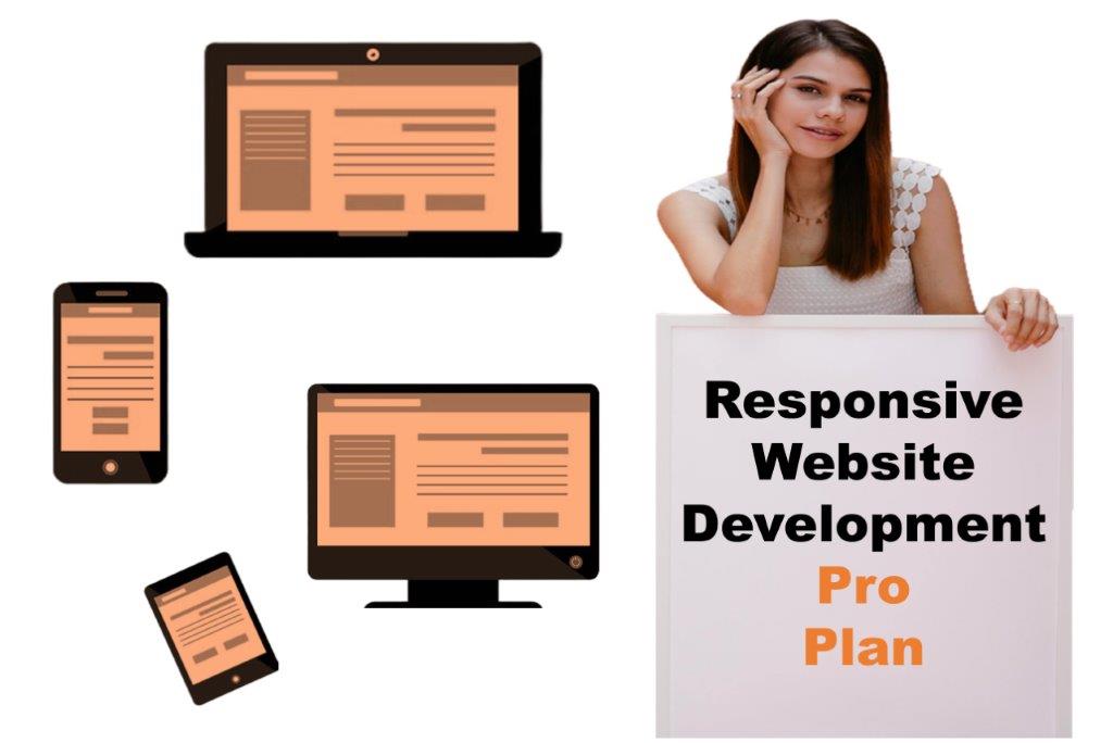 expert responsive website development agency in Olympia Washington