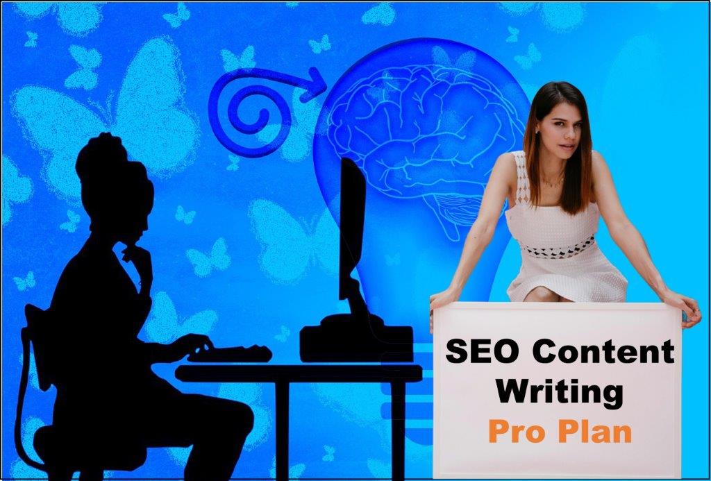 seo content writing agency Olympia Washington