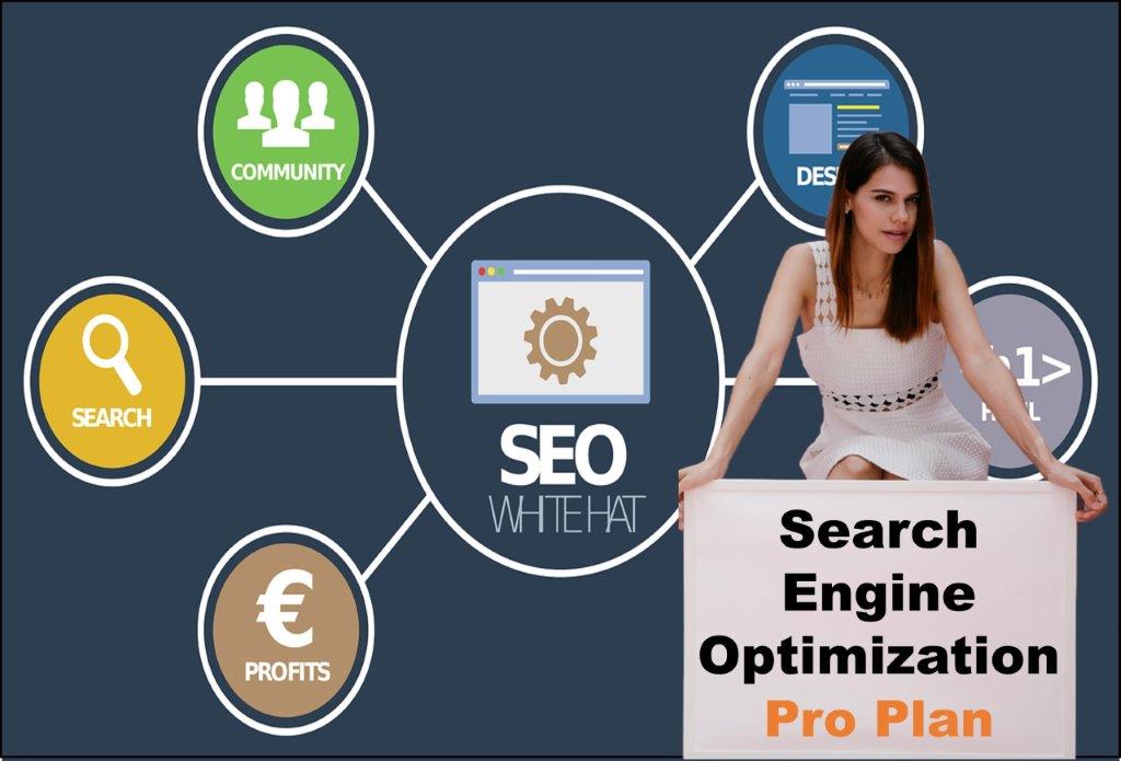 seo company Olympia Washington