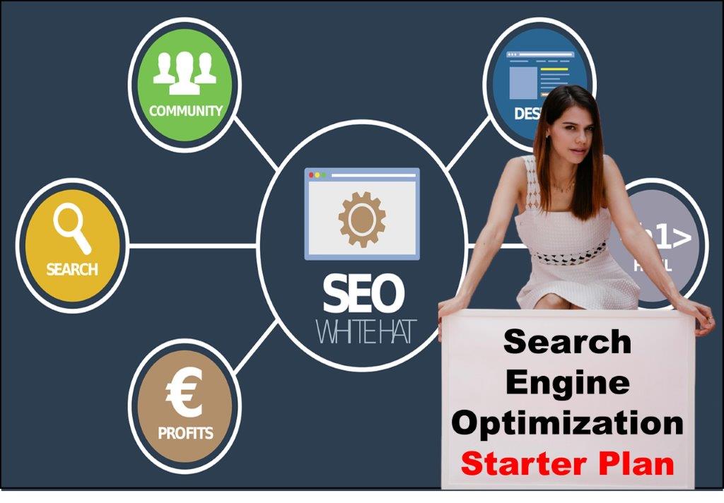 seo service provider in Olympia Washington