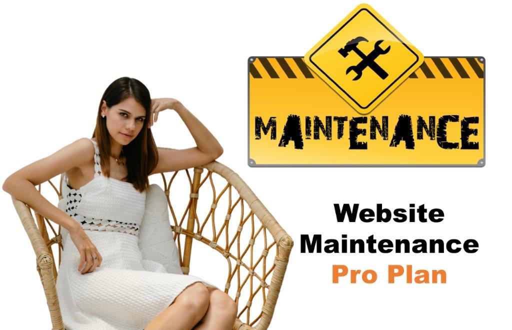 website maintenance agency in Olympia Washington