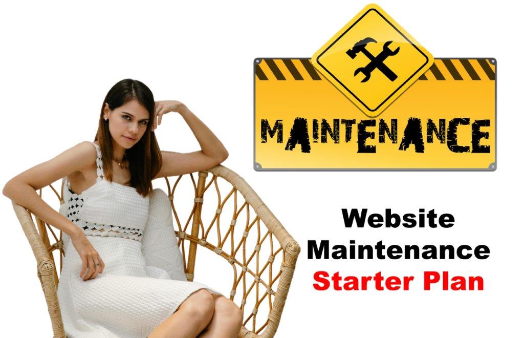 Website Maintenance in Olympia Washington