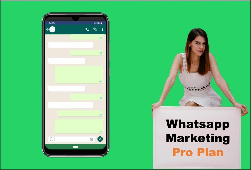 whatsapp marketing agency in Olympia Washington