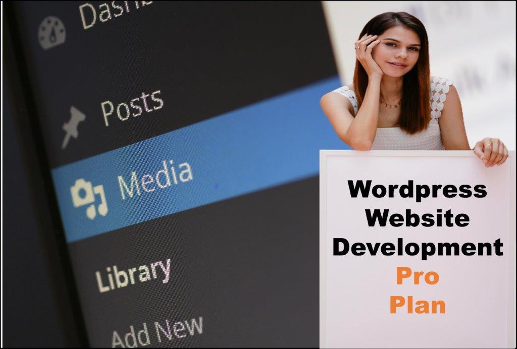 wordpress website designing in Olympia Washington